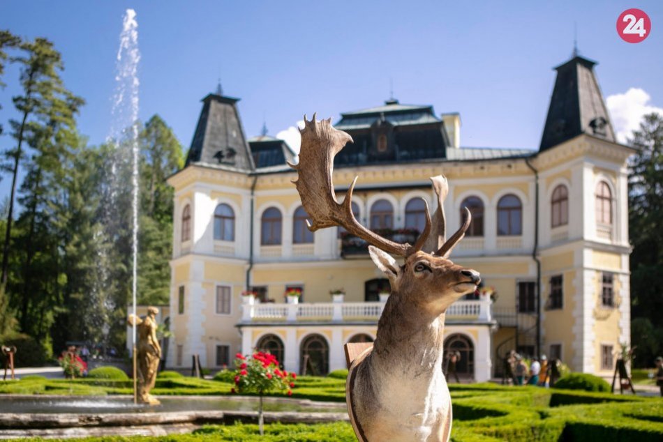 Ilustračný obrázok k článku Poľovnícke dni G. Andrássyho: Pozrite si tie krásne trofeje, FOTO