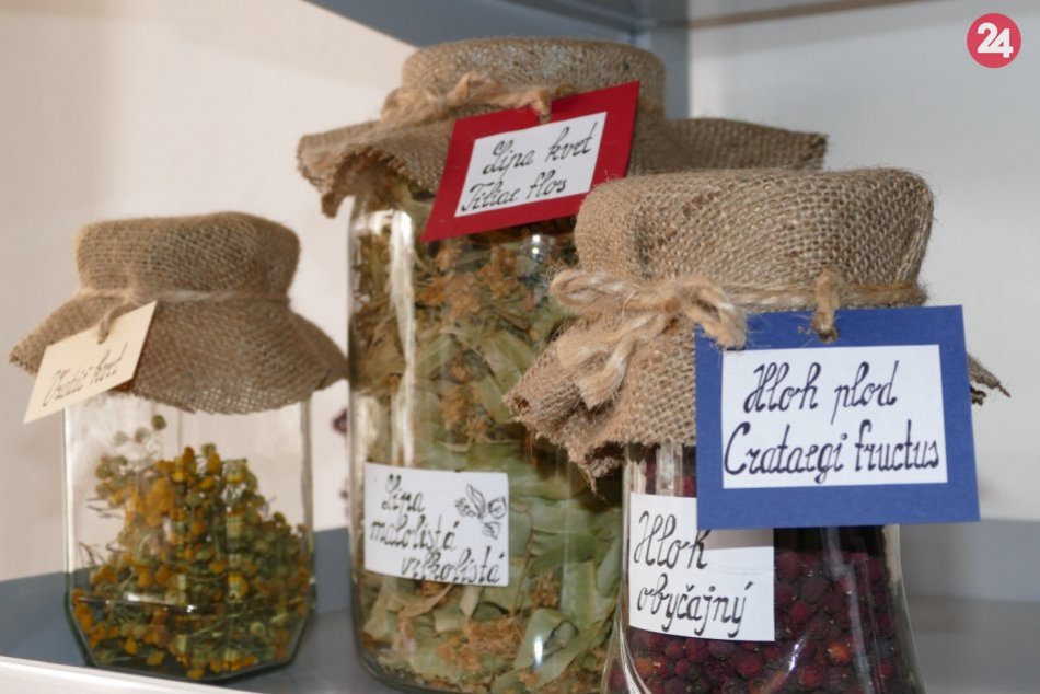 Ilustračný obrázok k článku Potvrdené, ľudových liečiteľov a bylinkárov zbožňujeme. Pozor však na šarlatánov!