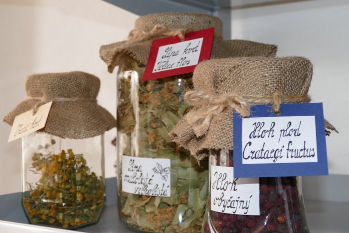 Ilustračný obrázok k článku Načerpajte silu z prírody: V Žiline funguje bylinková poradňa, kde a kedy?