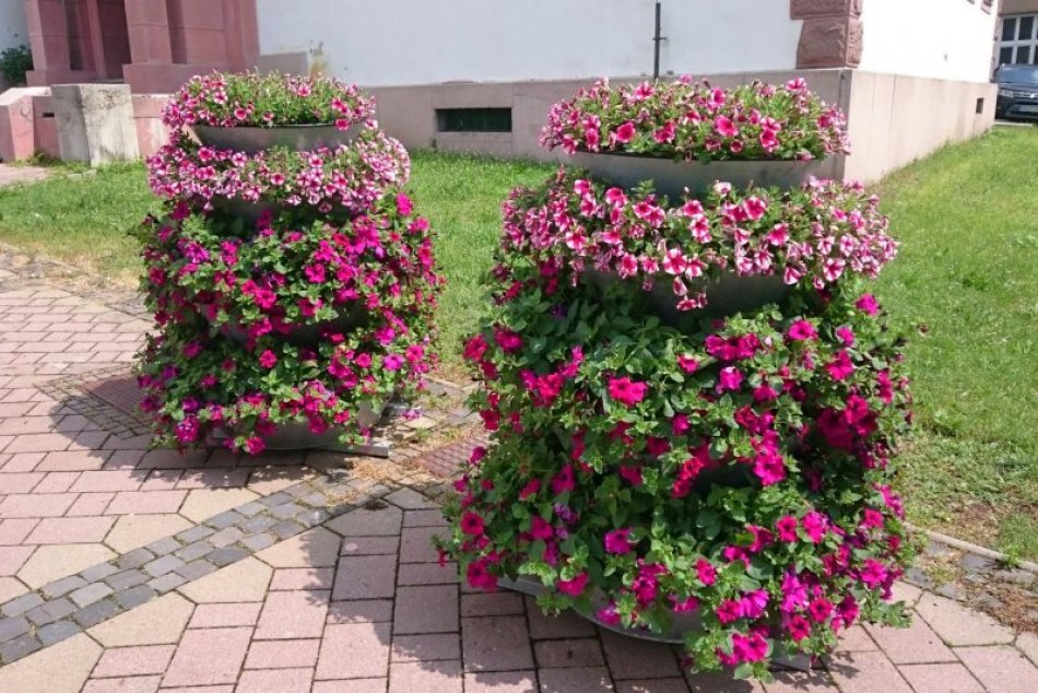 Ilustračný obrázok k článku Kvetinové pyramídy v centre mesta očarili Bystričanov. Toto hovorí za všetko