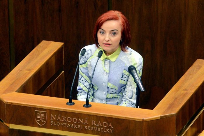 Ilustračný obrázok k článku Primátorka Prievidze pokutu za údajne sporné nadobudnutie pozemku platiť nebude