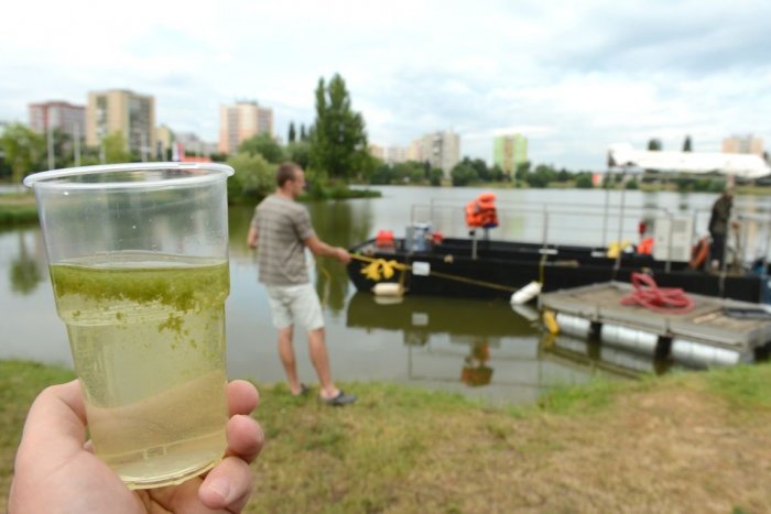 Ilustračný obrázok k článku Do vody plnej siníc nevstupujte: Odhalí ich jednoduchý test, ktorý zvládne každý
