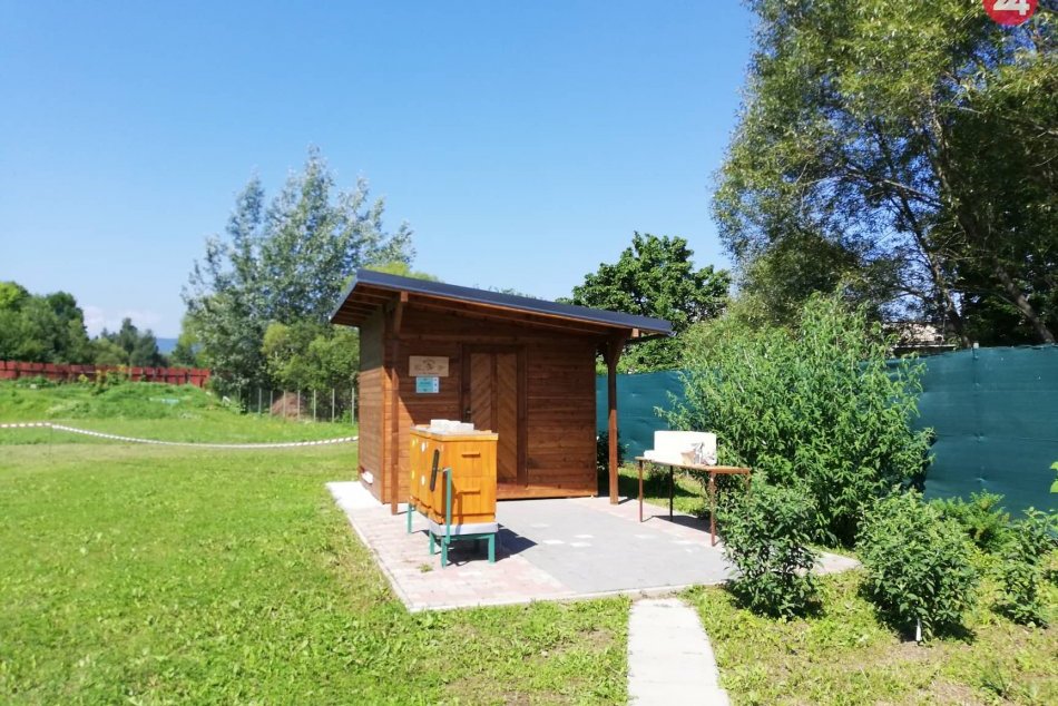 Ilustračný obrázok k článku Škola v Spišskej sa môže popýšiť novinkou: Toto vyrástlo na školskom dvore, FOTO