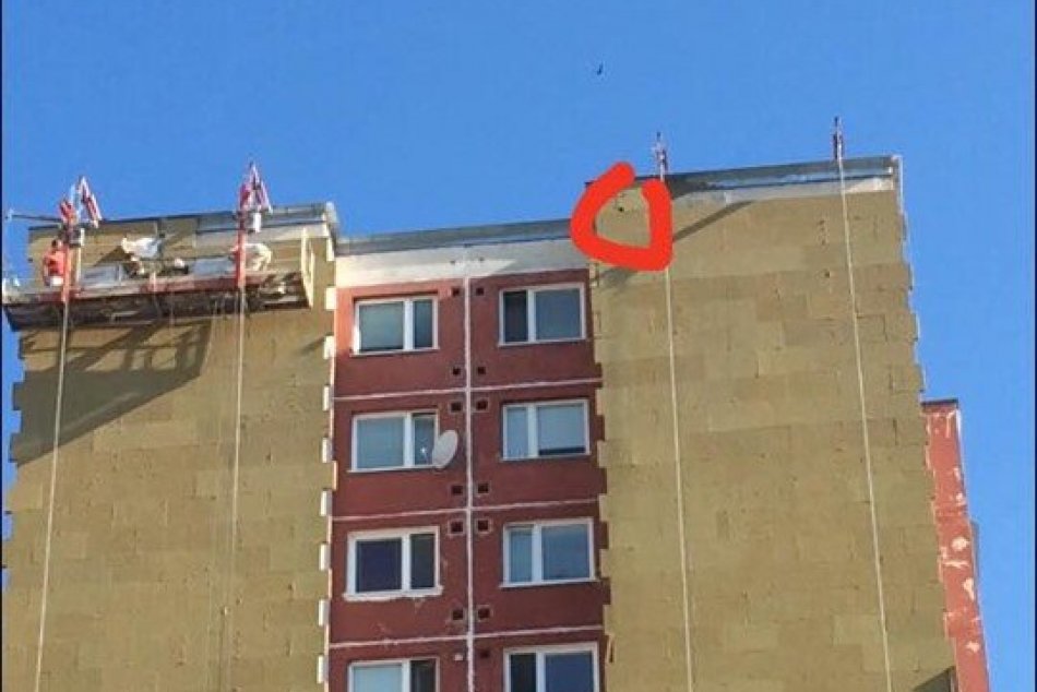 Ilustračný obrázok k článku Košičania sa spojili za záchranu užitočných dážďovníkov, robotníci im mali "zalepiť" domov, FOTO