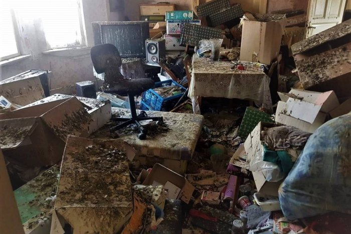 Ilustračný obrázok k článku Byt v Nových Zámkoch obsadili holuby: Priestor je plný exkrementov a tiel vtákov