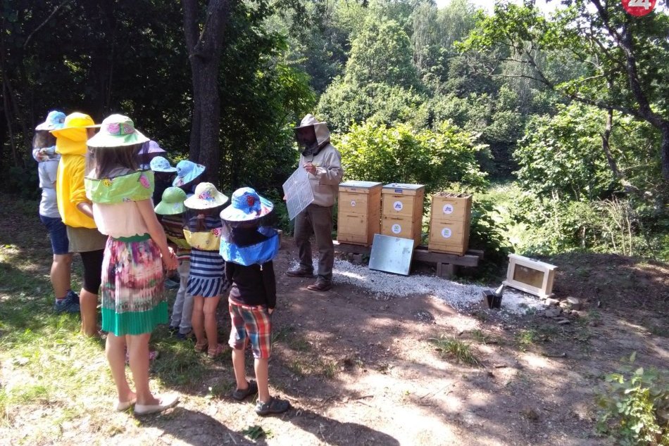 Ilustračný obrázok k článku V Zaježovej otvorila Živica 3. včelnicu. Návštevníkom ukáže život včiel aj v prenosnom úli, FOTO