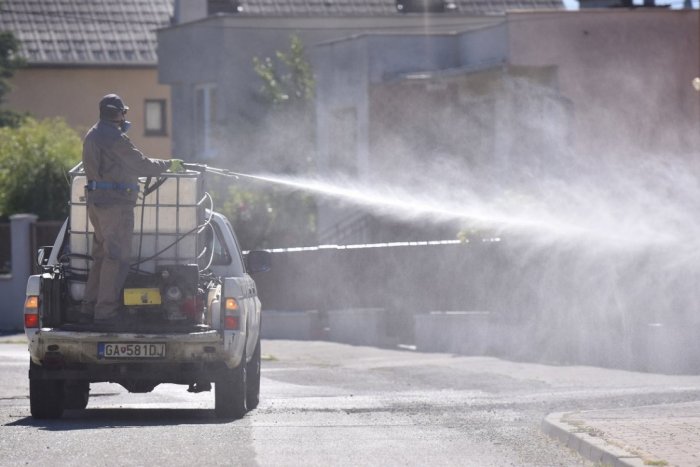 Ilustračný obrázok k článku Mesto upúšťa od používania chemických postrekov. Burinu bude odstraňovať ekologicky