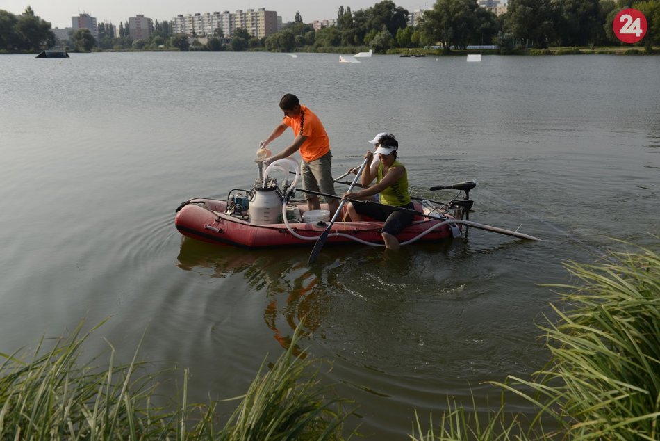 Ilustračný obrázok k článku Na košickom jazere budú opäť aplikovať prípravok na zníženie siníc