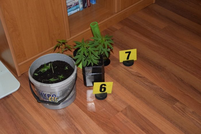 Ilustračný obrázok k článku Policajti prišli pôvodne asistovať záchranárom do breznianskeho bytu, naprázdno neodišli, FOTO