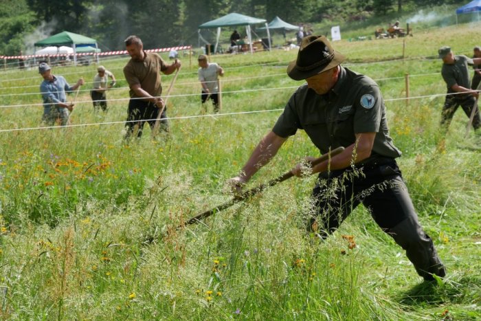 Ilustračný obrázok k článku Lesníci spojili príjemné s užitočným. Ako dopadla súťaž pre našich zástupcov?