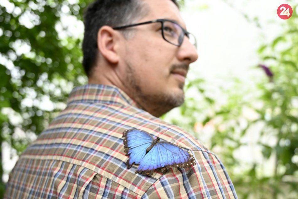 Ilustračný obrázok k článku Obľúbená atrakcia je späť: Bojnice sú hneď pestrofarebnejšie