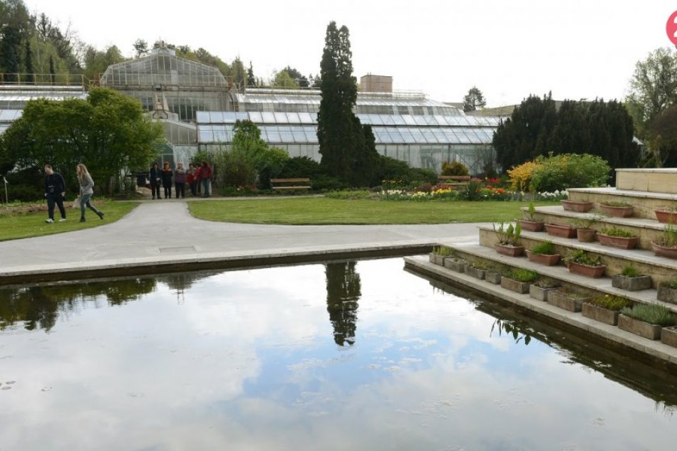 Ilustračný obrázok k článku Botanická záhrada bude krajšia a zvýši sa komfort návštevníkov