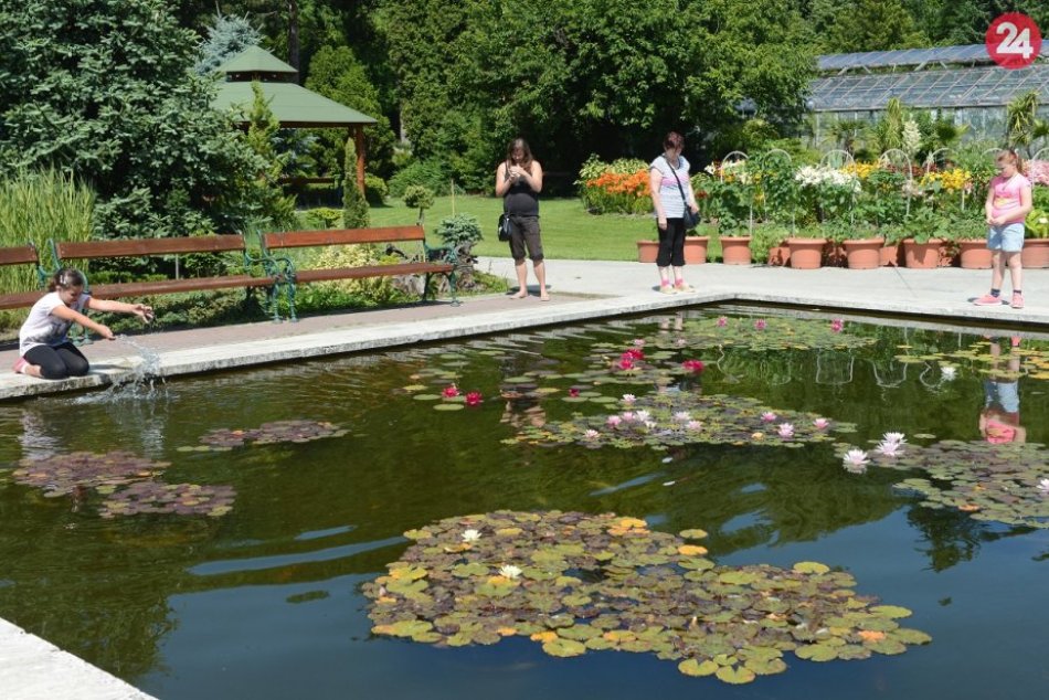 Ilustračný obrázok k článku Aj Botanická záhrada je už otvorená, ale nie celá, FOTO