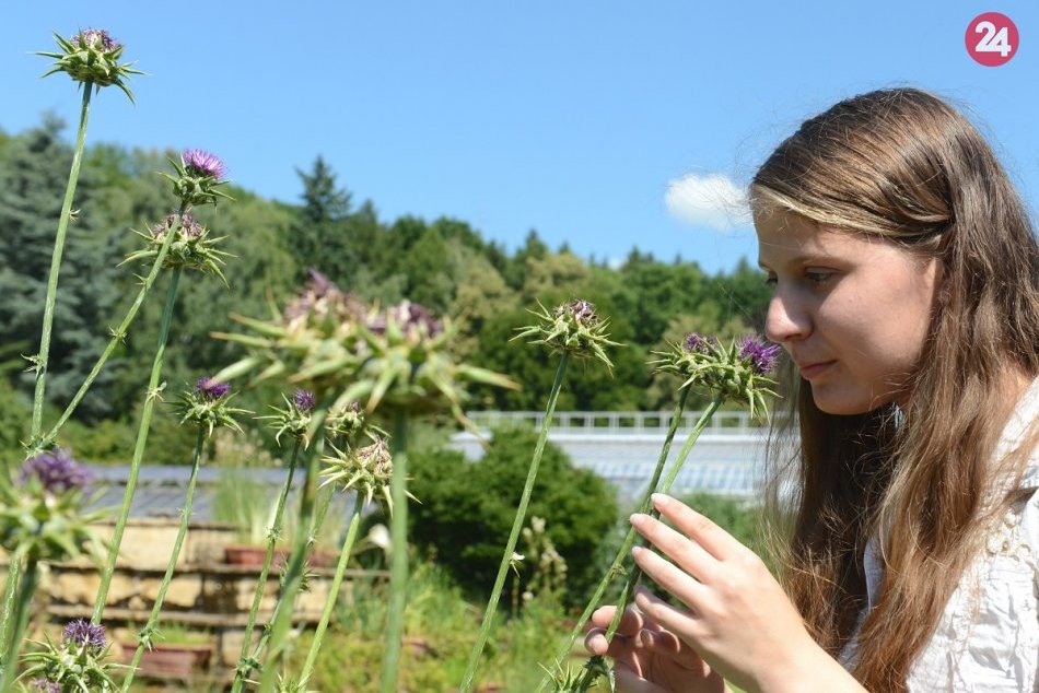 Ilustračný obrázok k článku Botanická záhrada UPJŠ v Košiciach oslavuje 70 rokov, ako jubileum oslávia?