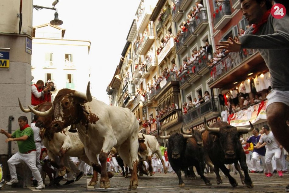 Ilustračný obrázok k článku Beh s býkmi si vyžiadal ďalšiu obeť: Býk mužovi rozpáral brucho a stehno