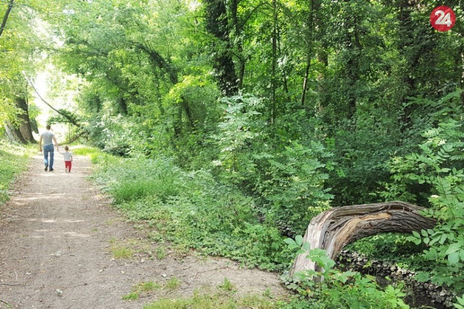 Ilustračný obrázok k článku Trnava bude mať rozhľadňu: Vyhliadková veža vyrastie v Kamennom mlyne, FOTO
