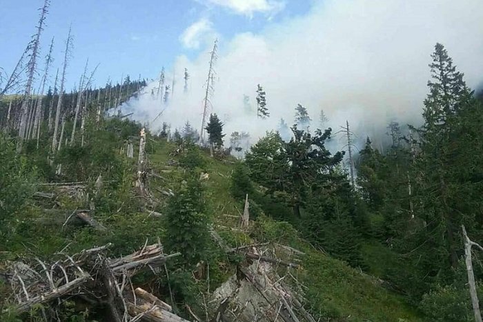 Ilustračný obrázok k článku Plamene pri Táľoch spôsobili prírode škodu asi 800-tisíc eur