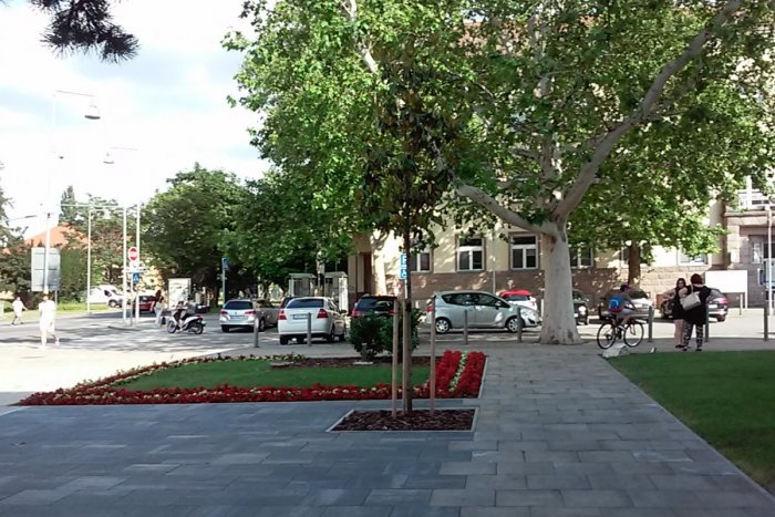 Ilustračný obrázok k článku Redakčné tipy na víkend:  Čo by ste určite nemali zmeškať v Šali?