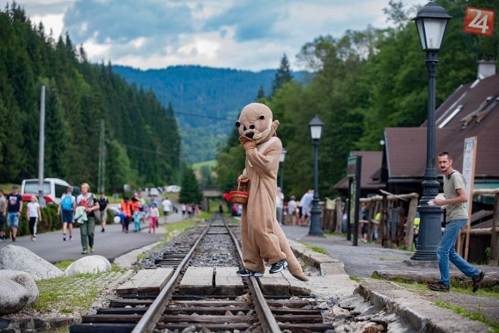 Ilustračný obrázok k článku Deň stromu bude v duchu osláv 20. výročia vzniku podniku Lesy SR