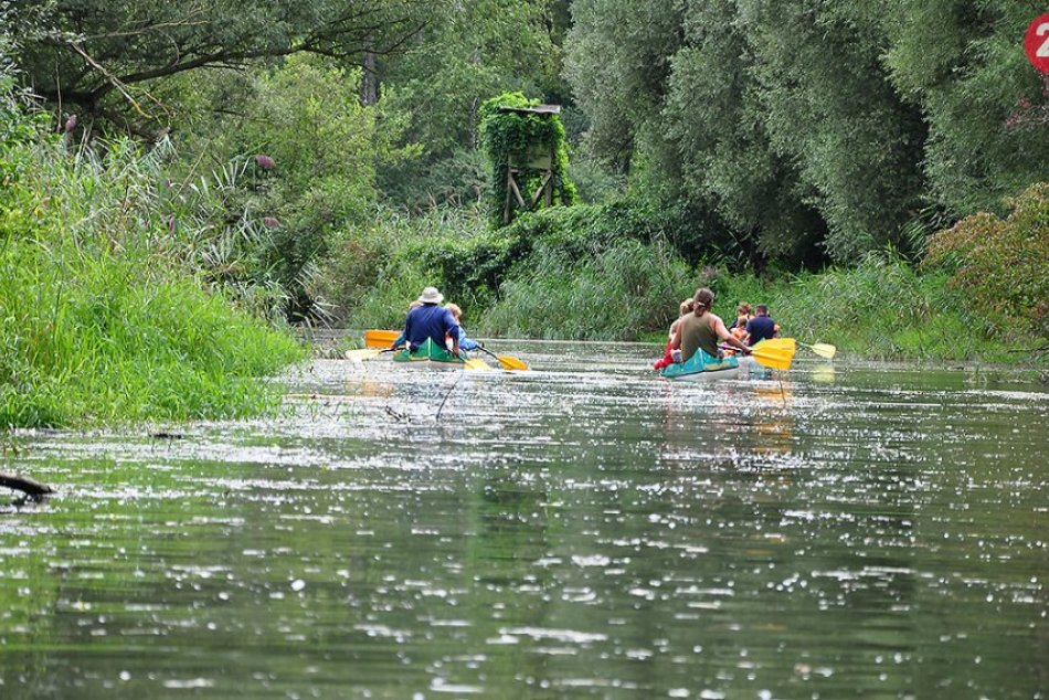 Ilustračný obrázok k článku Zaži džungľu na vlnách Dunaja: Milovníci vody sa môžu oddať vodáckemu dobrodružstvu