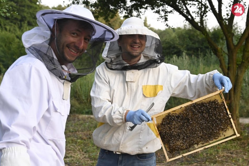 Ilustračný obrázok k článku Obyvatelia Trnavského kraja rozhodli: Peniaze si rozdelí 57 prospešných projektov