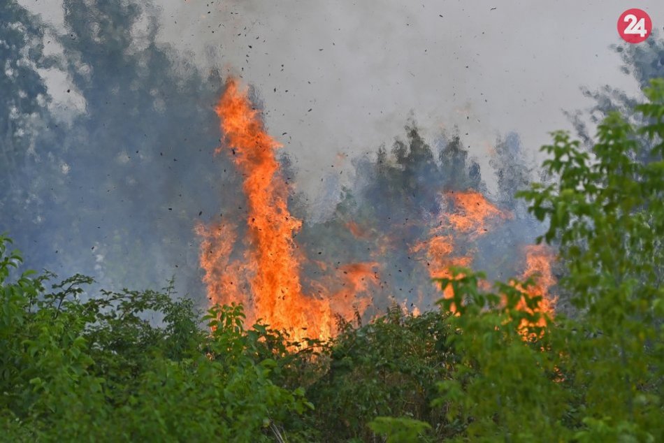 Ilustračný obrázok k článku Hrozba požiarov: 7 okresov Trenčianskeho kraja vyhlásilo zvýšené nebezpečenstvo