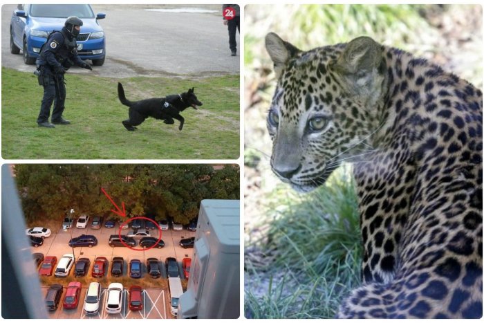 Ilustračný obrázok k článku TOP 5 tém týždňa: Uplynulé dni sa v Bratislave niesli v znamení smutných udalostí