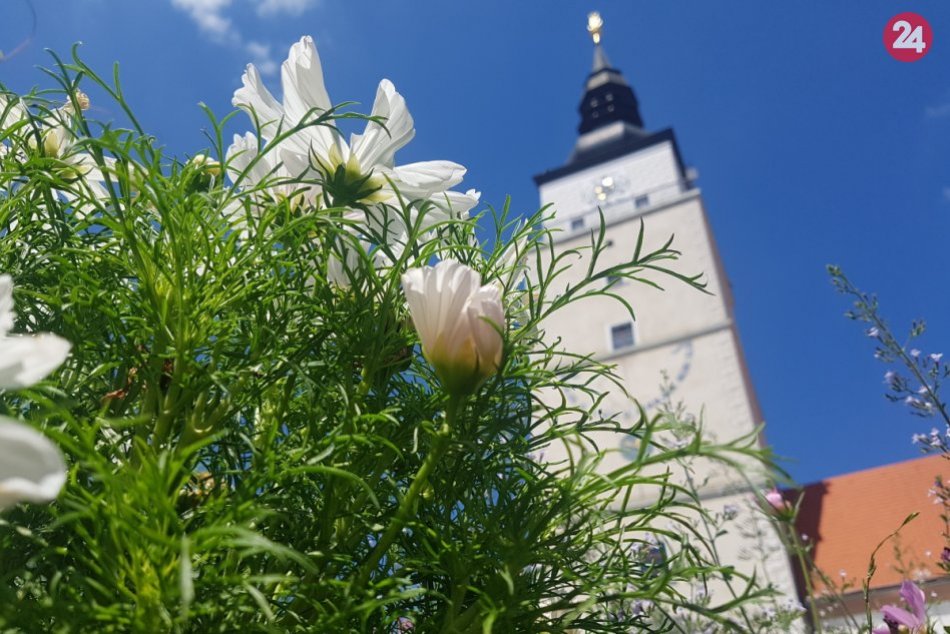 Ilustračný obrázok k článku LÁKADLÁ Štátneho archívu v Trnave: V septembri sa máme na čo tešiť!