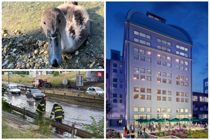 Ilustračný obrázok k článku TOP 5 tém týždňa: Bratislavčania majú za sebou ťažký týždeň