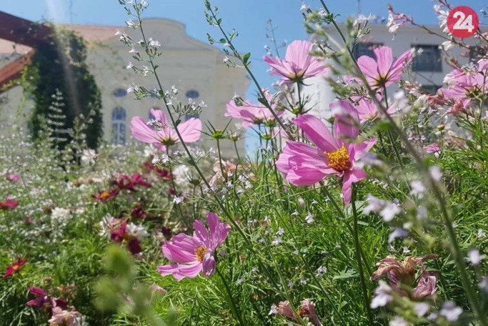 Ilustračný obrázok k článku Trenčín bude krajší: Dobrá práca v parku pod sídliskom Juh a v lesoparku Brezina