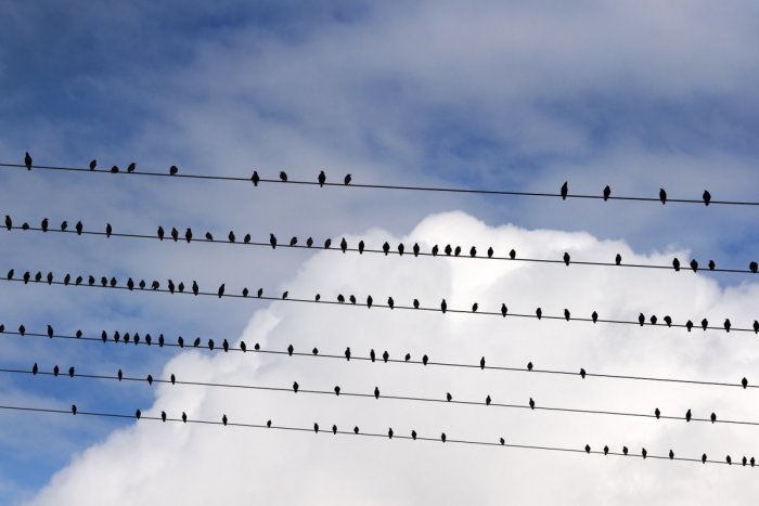 Ilustračný obrázok k článku PREHĽAD pre Zvolenčanov: Pripravte sa na viaceré odstávky elektriny