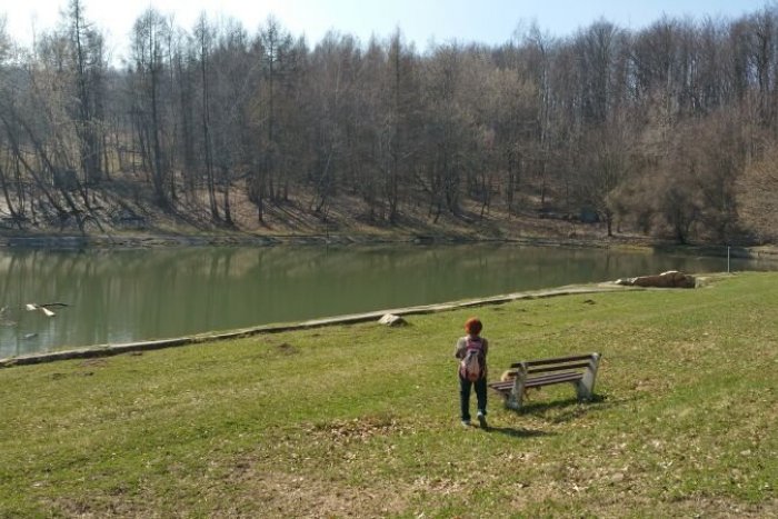 Ilustračný obrázok k článku Mesto Modra sa chystá revitalizovať prírodné kúpalisko Modra-Piesok