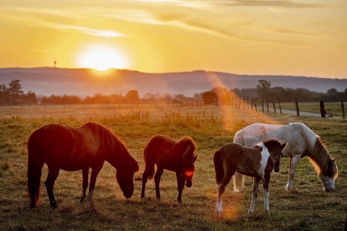 Ilustračný obrázok k článku RANNÁ ŠTVORKA: Sobota bude slnečná a horúca, teploty prekročia 30 stupňov