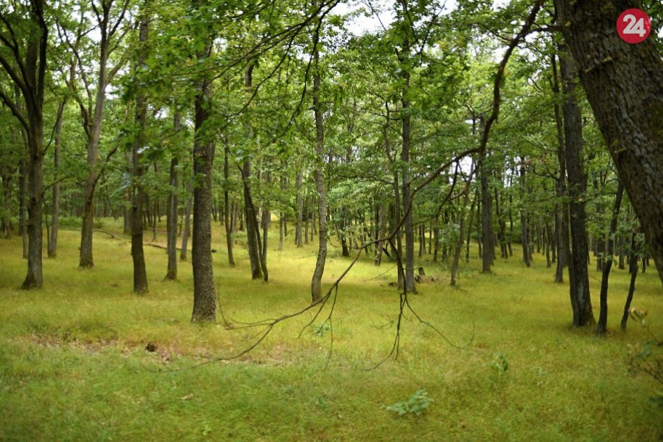 Ilustračný obrázok k článku DOBRÁ správa! Už zase sa dá ÍSŤ na turistiku do pohoria TRIBEČ