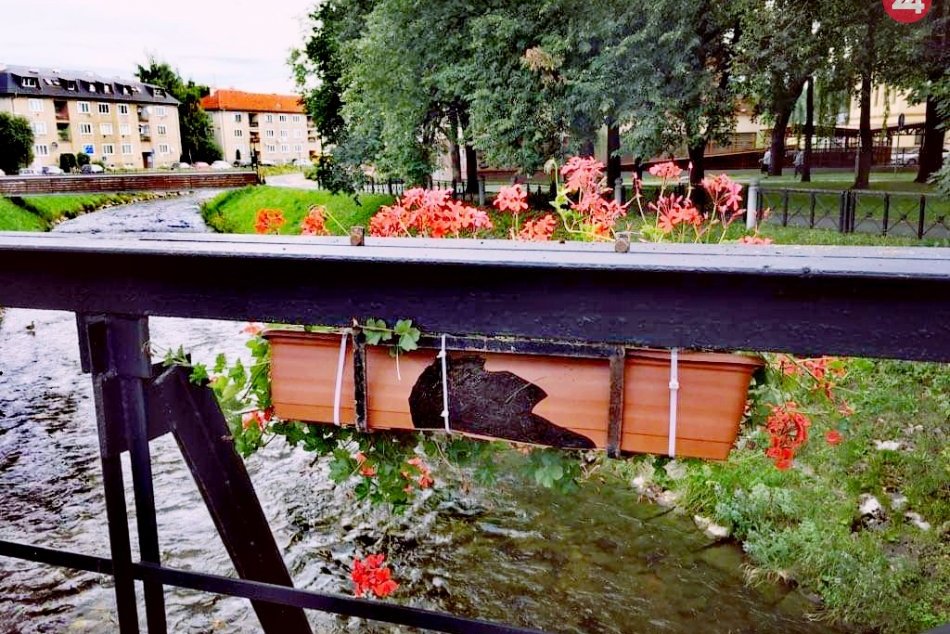 Ilustračný obrázok k článku Opatrenia mestskej polície priniesli prvé úspechy: Výtržníci prichytení priamo pri poškodzovaní kvetináčov