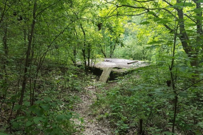 Ilustračný obrázok k článku Prírodou aj vtáctvom sa pokocháme z výšky: V Kamennom mlyne pribudne rozhľadňa