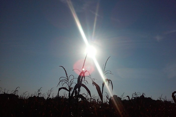 Ilustračný obrázok k článku Redakčné augustové tipy: Kam môžete vyraziť za zábavou?