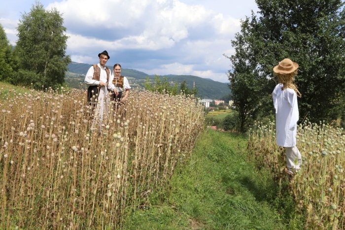 Ilustračný obrázok k článku RANNÁ ŠTVORKA: Pondelok by mal byť slnečný, teploty do 32 stupňov