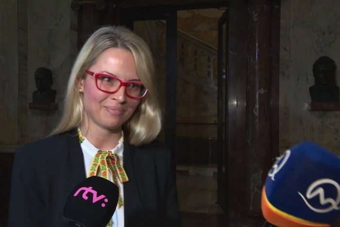 Ilustračný obrázok k článku SVET O SLOVENSKU: Nepodarený výstup hovorkyne je hitom internetu