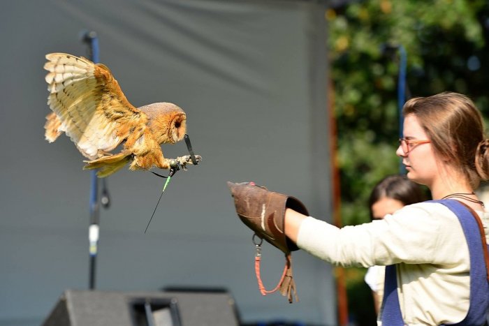 Ilustračný obrázok k článku Brezniansky mestský park bude už po štvrtýkrát žiť stredovekou atmosférou