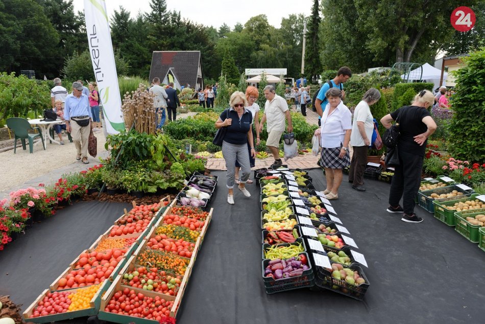 Ilustračný obrázok k článku Do tretice všetko dobré? Ministerstvo opäť hľadá riaditeľa Agrokomplexu