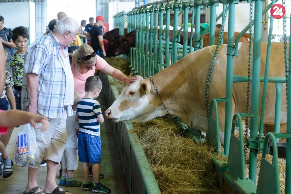Ilustračný obrázok k článku Zopakujeme si tento rok tradičný Agrokomplex? Výstavisko zverejnilo termín
