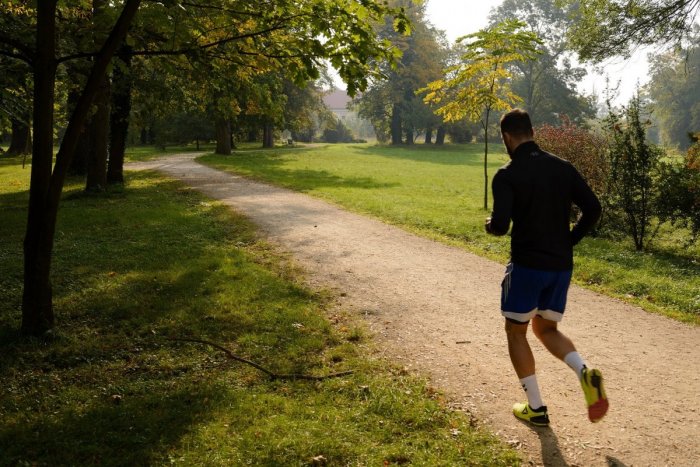 Ilustračný obrázok k článku 50 000 eur pre žilinský šport: Mesto podporí kluby i jednotlivcov