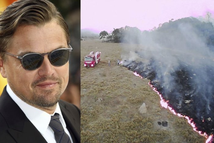 Ilustračný obrázok k článku Pomoc Amazónii: DiCapriova organizácia venuje päť miliónov dolárov