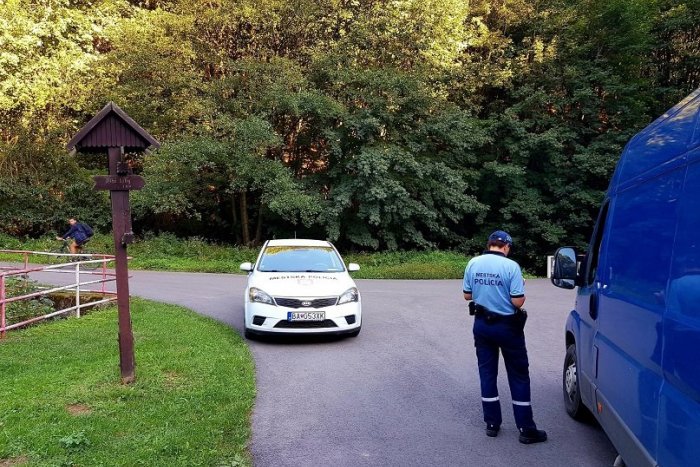 Ilustračný obrázok k článku Nelegálnych áut v lesoparku je menej, problémom sú ale povolenia z minulosti