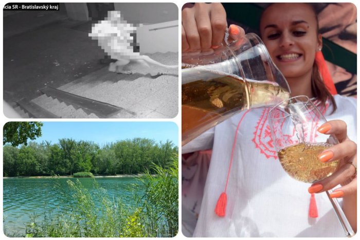 Ilustračný obrázok k článku TOP 5 tém týždňa: Potopa snáď už neprekazí hody a vinobrania v Bratislave
