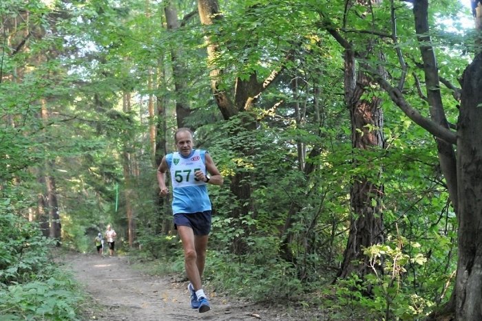 Ilustračný obrázok k článku V Šali odštartujú Beh pre Karolínku: Tomi Kid Kovács pozýva aj vás!