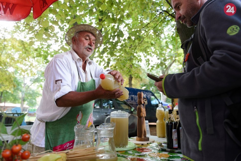 Ilustračný obrázok k článku Podzoborské vinobranie sa presunie na iné miesto: V parku tento rok NEBUDE