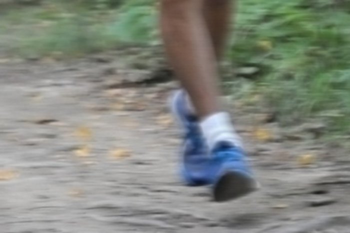 Ilustračný obrázok k článku Akcia pre športuchtivých: Lackovský lesný beh preverí vašu kondičku