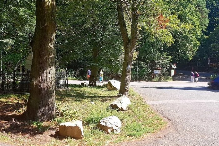 Ilustračný obrázok k článku Cesta na Kamzíku sa zmení na promenádu pre peších a cyklistov. A to nie je všetko!